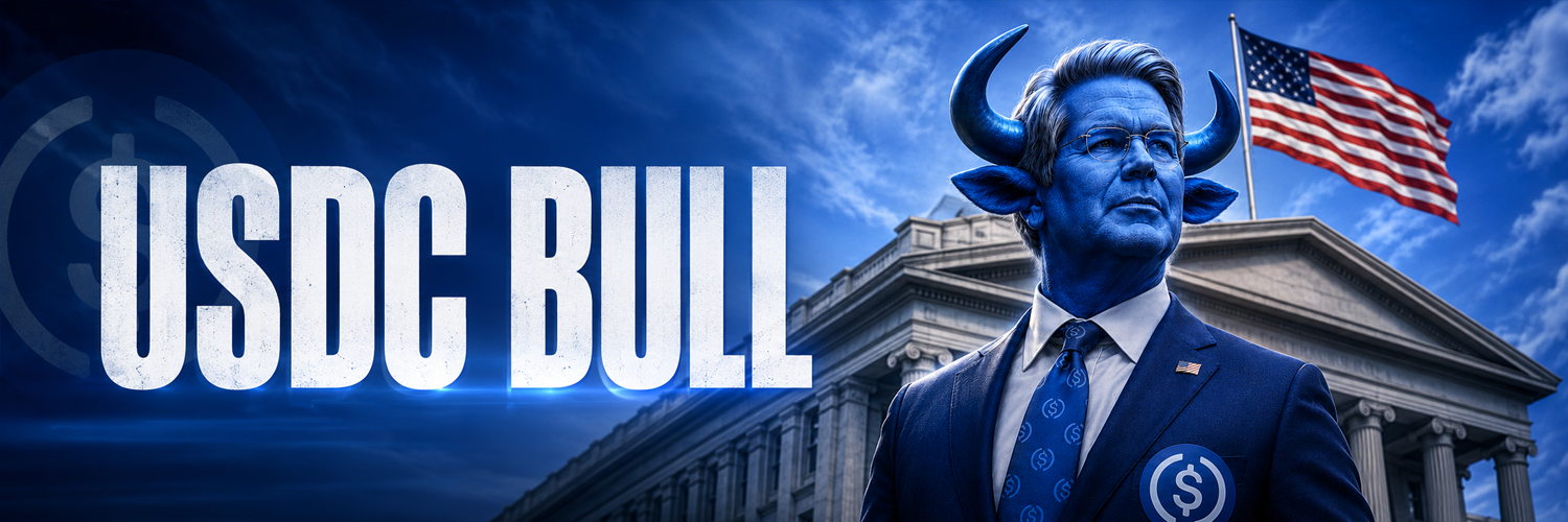 USDC BULL banner